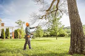 Falkville, AL Tree Services Company